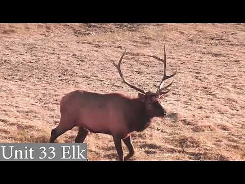 Colorado GMU Unit 33 Hunting Information