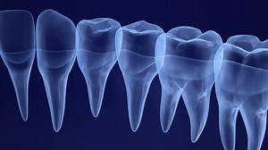 Transparent Teeth Xray View 3d Animation Stock Footage Video (100% Royalty-free) 1011206003 | Shutterstock