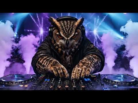 Boris Brejcha Style – High Tech Minimal Journey 2026 Brutal Energy