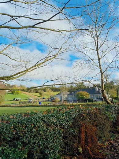 Exploring the Rich Musical Heritage of Ireland