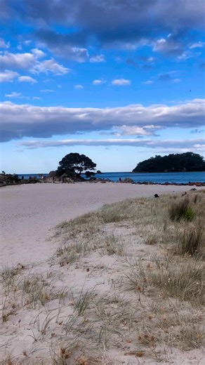 Tauranga and the surrounding areas are beautiful! Beaches, walks and waterfalls. Visit New Zealand! #newzealand #mountmaunganui #tauranga #travel #explorenz | New Zealand Brand