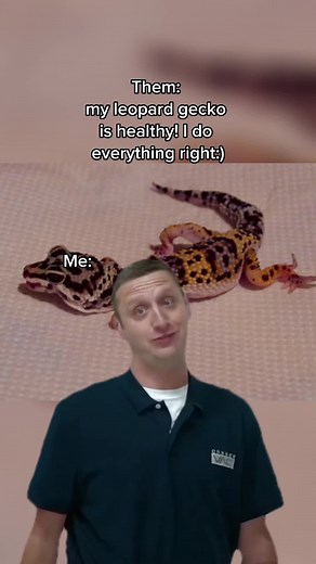 Recognizing and Treating Metabolic Bone Disease in Leopard Geckos