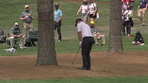 Casey angry after clattering tree