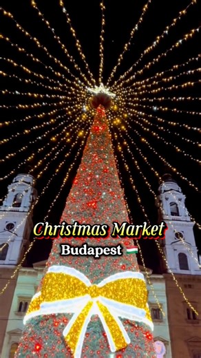 Christmas Market ✨Budapest 🇭🇺🎅 🎄 #travel #Christmas #christmas2025 #christmasmarket #budapest #hungary #travel #europetravel | Grant & Richell’s Life in Canada & Travel