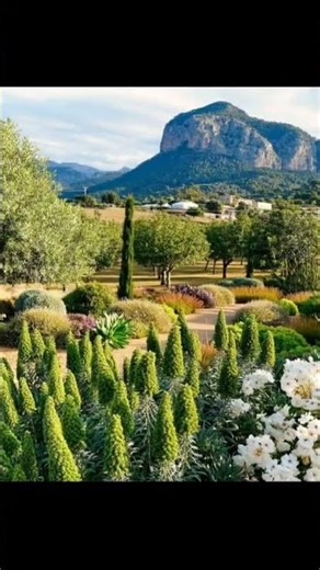 Mallorca Gardens en Can Pastilla #mallorcagardens #jardinessostenibles
