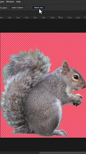 Photoshop tutorial - Select and mask