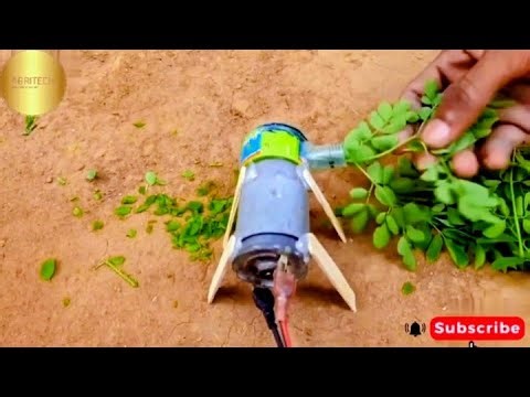 HOW TO MAKE MINI CHAFF CUTTER MACHINE | GRASS CUTTER | SCIENCE PROJECT #scienceproject #diy