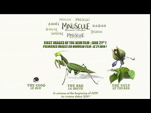 NEW : THE TEASER OF THE NEW FILM MINUSCULE
