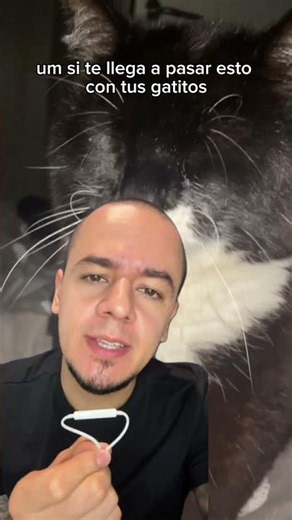 FELINE EMERGENCY | My cat pooping on the bed - this happened