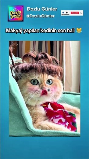 Makyaj Yapılan Kedi 💄😹