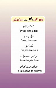 50 English to urdu proverb basic English language #viral # trending | SHINE English 1.1