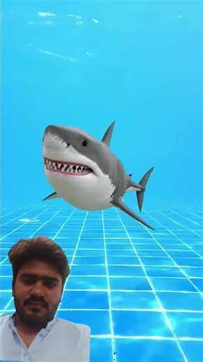 swimming pool ka ander Shark kaha se aa gaye #comedy #funny #swimmingpool #shortvideo #viralvideo