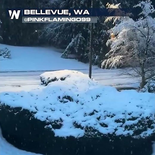 Greater Seattle metro sees rare snow event Friday!