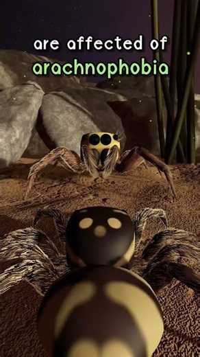 Are you afraid of spiders? 😱🕷️