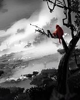 14K views · 478 reactions | Sign up to tell big brands to stop using palm oil from forest destroyers. | Greenpeace Australia Pacific | Facebook