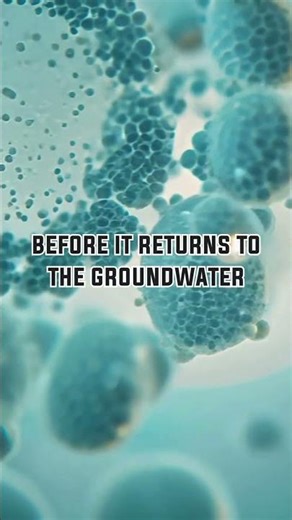 Your drain field is where the real cleaning happens.