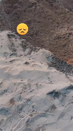 Hyundai Excavator in Action at Construction Site