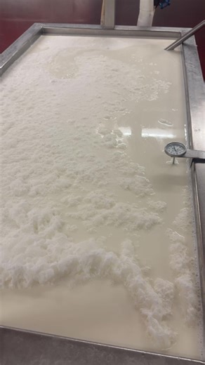 SqueakyCheese on Reels