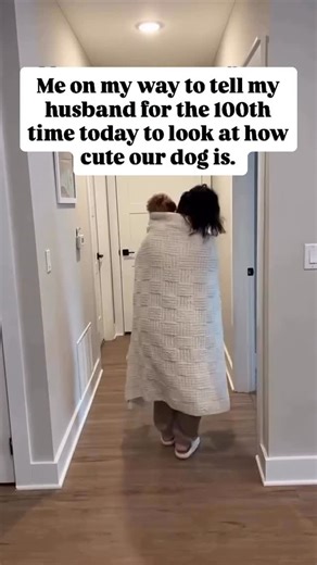 Mini Goldendoodle & Dog Mom Lifestyle on Instagram: "If you do this daily… you’re officially in the right place 😂🫶 Around here, we’re all about keeping dog parents and their pups happy, healthy, and living their best lives with wholesome moments, DIY treats & tips I wish I knew sooner. Follow us for more dog mom chaos, cozy vibes & cute Sofi content 💗✨ #dogparents #petparent #dogmama"