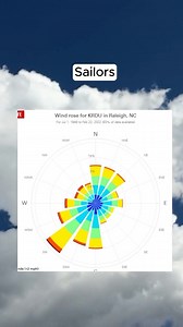  A wind rose – sounds romantic, right? But in reality, it’s a powerful tool used to visualize wind patterns. Check out the reel to learn more! | Windy.app | Facebook