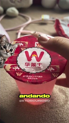 She thought it was her kitten!! 🐈