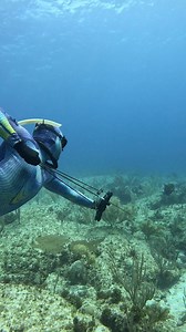 Spearfishing with Underwater Compound Bow | Ryan Myers
