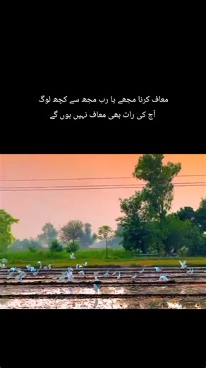 Embracing the Night: Aesthetic Reflections