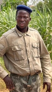 395K views · 24K reactions | Le matelas Magic Sergent Komgui | Adjim Ebento | Facebook