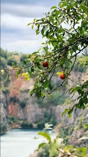 🌙 Quran Urdu Translation with Beautiful Nature 🌳 | A Journey of Faith & Calm