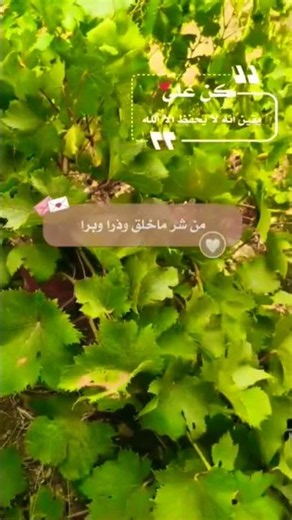 الذكر حصن المؤمن ، فهل تحتمي به كل يوم؟ #الذكر #حصن_المسلم