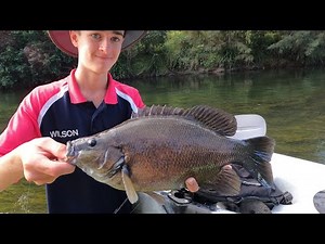 So Powerful for their Size! Mary River QLD