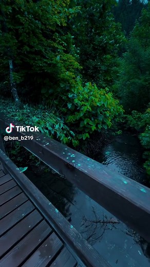 Exploring Nature's Calm with Dark Aesthetic Vibes