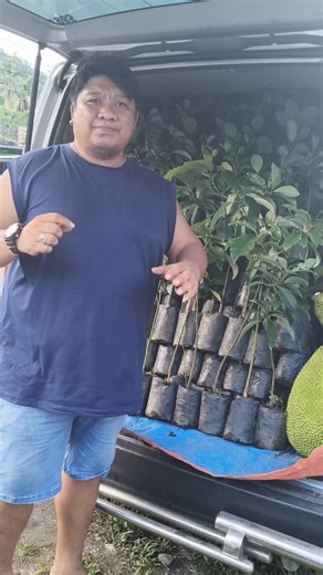 LAST SHIOMENT OF 2025 #eviarc | HenPie Eviarc Sweet Jackfruit