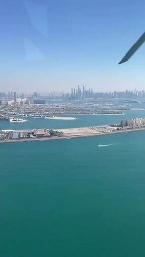 bitch_bloger on TikTok