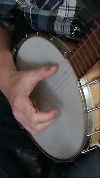 A Banjo Lesson For The Complete Beginner