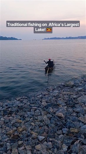 This is how they fish on Africa’s largest lake 🇺🇬