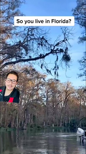 Wild Monkeys in Florida: Macaque Invasion Explained