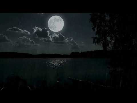 Rain Under Bright Moon 3 Hours Peaceful Ambience with Dark Horizon Trees