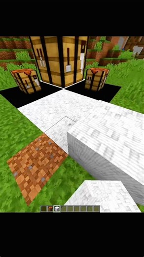 Minecraft Crazy Illusion 🤯 #minecraft #shorts