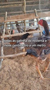 Gostaria de agradecer aos meus mais novos seguidores! Estou muito feliz por ter vocês a bordo! José Vanderlinde, Paulo Henrique, Wesley Moreti, Isaías Oliveira, Airton Fernandes, Rudinei Hilgert, Noel Emidio Francisco, Roberto Fernandes, José Oliveira Galvaõ, Maria Sales Mariveste, Paschoal Gonçalves Lito, Raimundo Moisés, Nazaré Cabral, Sérgio José Fagundes, Paulo Ferreira, Sandro Trench, Penha Moreira de Castro, Claudiney De Araujo, Antonio Brito Porto, Miraldo Zanella, Carlos Morais, Alan Car