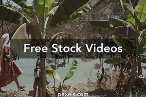 Best Indian Village Videos
