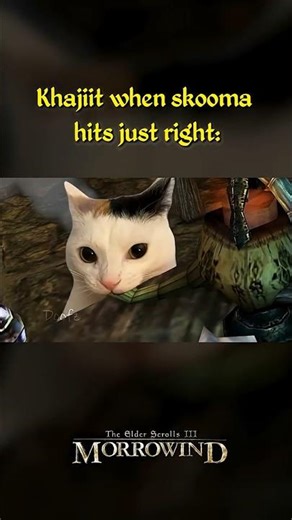 Skooma Addicted Khajiit