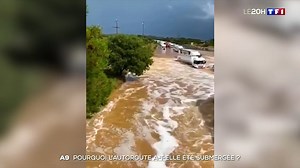 Automobilistes piégés, voitures déplacées, des habitants choqués... Gard : comment l'autoroute A9 a-t-elle pu être à ce point submergée ? | TF1 INFO