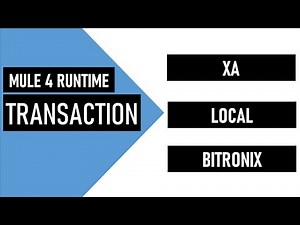 Mule 4 | XA | Local Transactions | Bitronix Transaction Manager