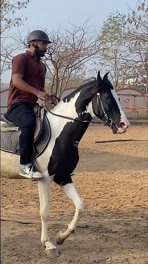 How to Ride Horse Beginners | Horse Riding Tips for Beginners | Horse Riding Lessons Trot Lessons