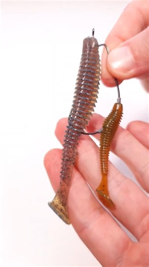 🔥The Secret Schooling Rig for Predators! 🐟🐟#shorts