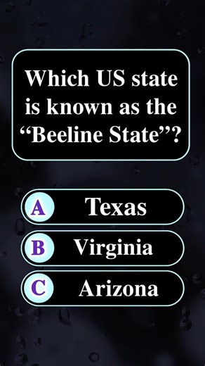 Which US state is known as the Beeline State?