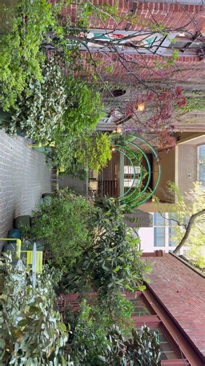 Sundance square Dallas Texas #nature #edit