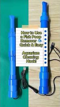 How to Use a Fish Poop Remover 🐟 | Quick & Easy #FishTankClean, #PoopRemover, #AquariumHack