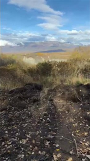 Cute Girls Go Hiking with Family Nature, Smiles & Adventure! #FamilyHike #OutdoorAdventure #Nature